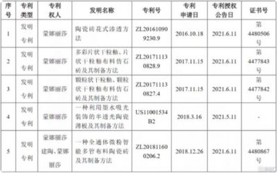 蒙娜丽莎：取得发明专利证书共5项